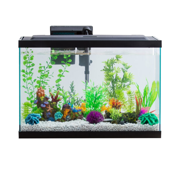 Aquarium Starter Kit With LED